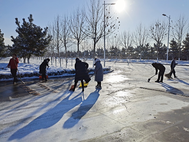 IMG_20201214_090217.jpg